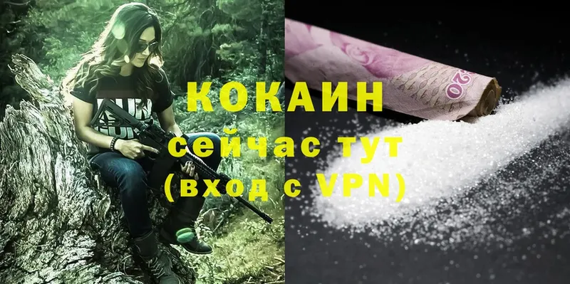 гидра как зайти  где купить наркоту  Великий Устюг  Cocaine Fish Scale 