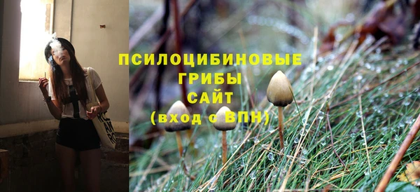 ECSTASY Осташков