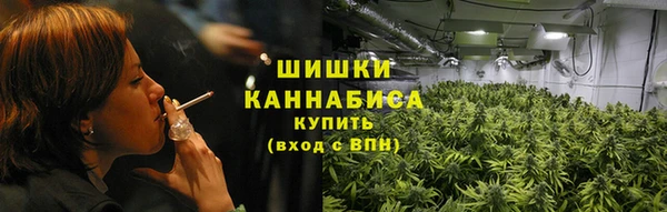 круглые Осинники