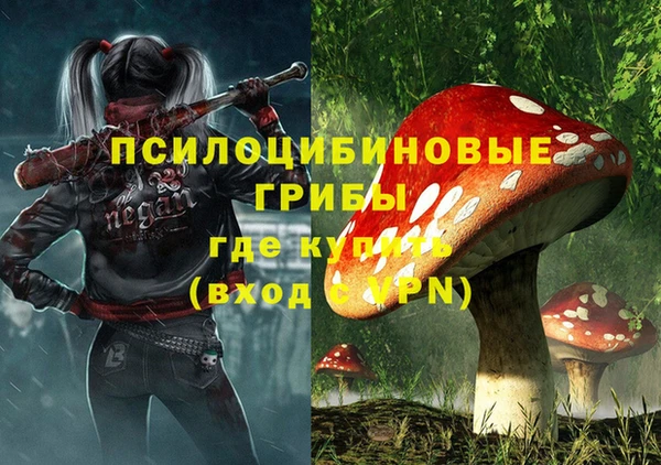 ECSTASY Осташков
