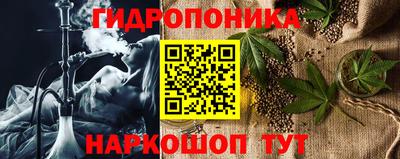 гашик Аргун