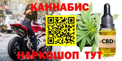гашик Аргун