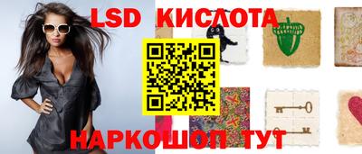 гашик Аргун