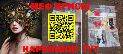 гашик Аргун