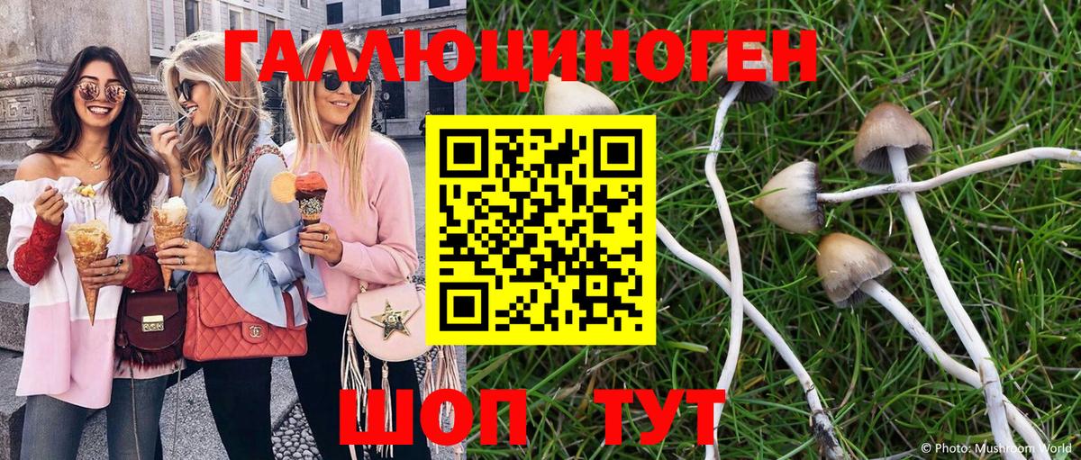 Псилоцибиновые грибы MAGIC MUSHROOMS Великий Устюг