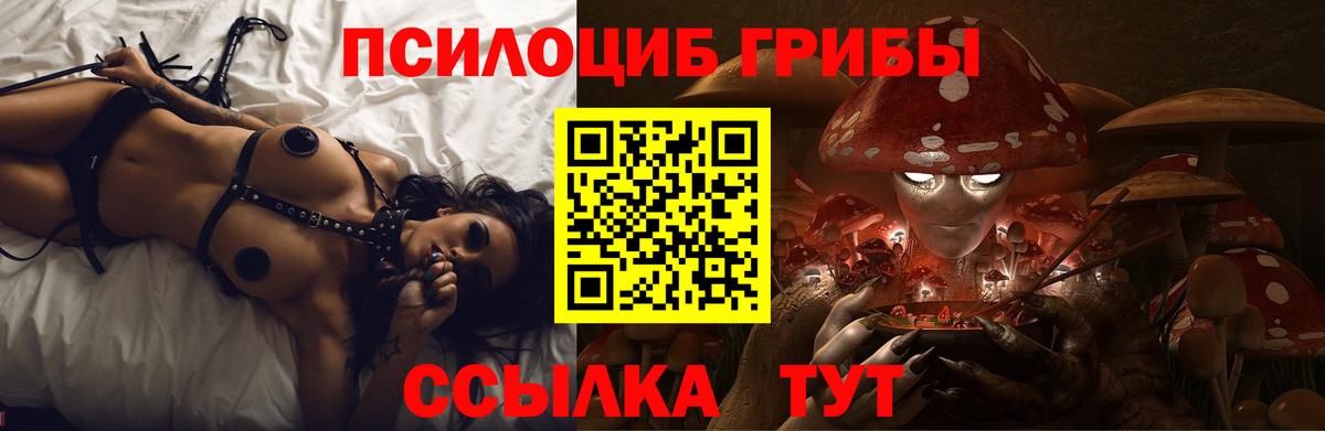дарнет шоп  Вход с VPN  Великий Устюг  Галлюциногенные грибы Cubensis 